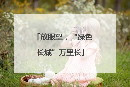 放眼望，“绿色长城”万里长