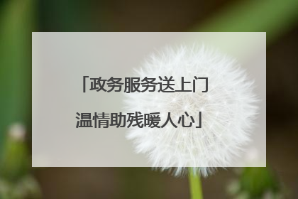 政务服务送上门 温情助残暖人心