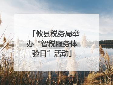 攸县税务局举办“智税服务体验日”活动