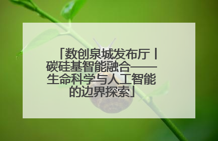数创泉城发布厅丨碳硅基智能融合——生命科学与人工智能的边界探索
