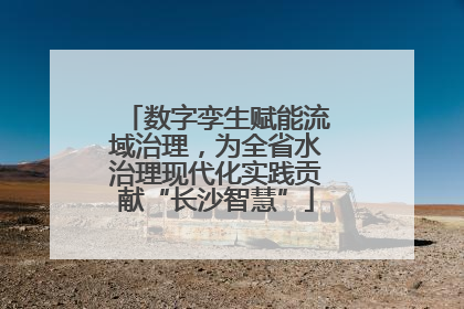 数字孪生赋能流域治理，为全省水治理现代化实践贡献“长沙智慧”