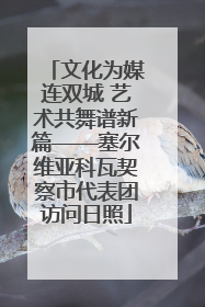 文化为媒连双城 艺术共舞谱新篇——塞尔维亚科瓦契察市代表团访问日照