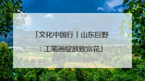 文化中国行丨山东巨野：工笔画绽放致富花