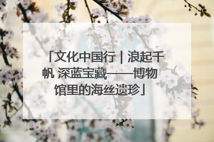 文化中国行｜浪起千帆 深蓝宝藏——博物馆里的海丝遗珍