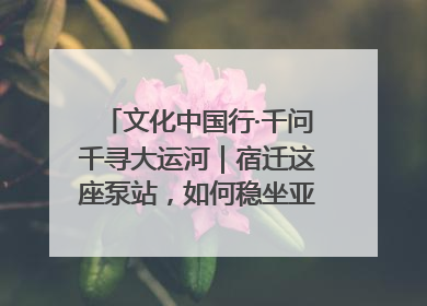 文化中国行·千问千寻大运河｜宿迁这座泵站，如何稳坐亚洲第一宝座？