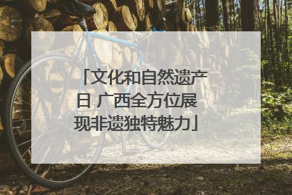 文化和自然遗产日 广西全方位展现非遗独特魅力