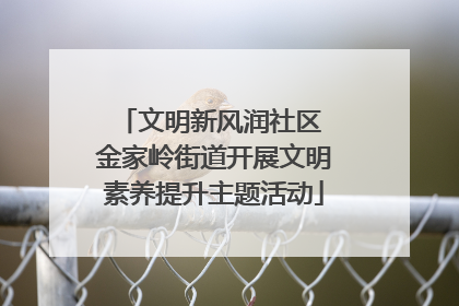 文明新风润社区 金家岭街道开展文明素养提升主题活动