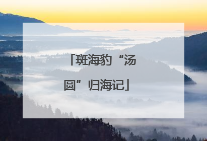 斑海豹“汤圆”归海记