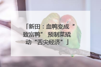 新田：血鸭变成“致富鸭” 预制菜撬动“舌尖经济”