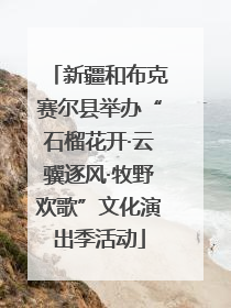 新疆和布克赛尔县举办“石榴花开·云骥逐风·牧野欢歌”文化演出季活动