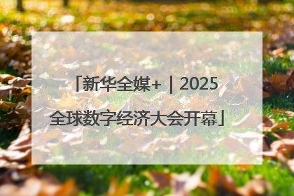 新华全媒+｜2025全球数字经济大会开幕