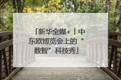 新华全媒+丨中东欧博览会上的“数智”科技秀