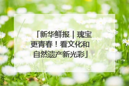 新华鲜报｜瑰宝更青春！看文化和自然遗产新光彩