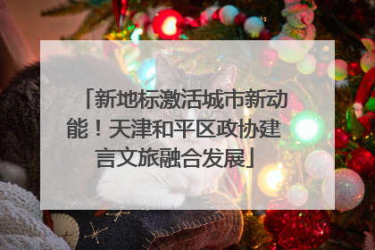 新地标激活城市新动能！天津和平区政协建言文旅融合发展