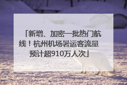 新增、加密一批热门航线！杭州机场暑运客流量预计超910万人次