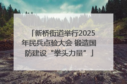 新桥街道举行2025年民兵点验大会 锻造国防建设“拳头力量”