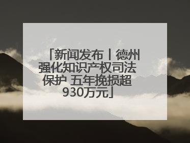 新闻发布丨德州强化知识产权司法保护 五年挽损超930万元