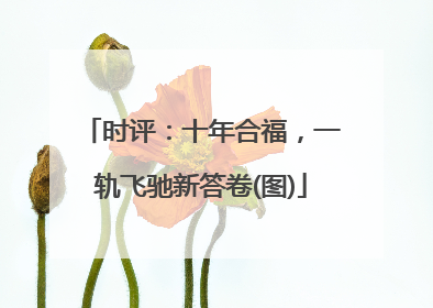 时评：十年合福，一轨飞驰新答卷(图)