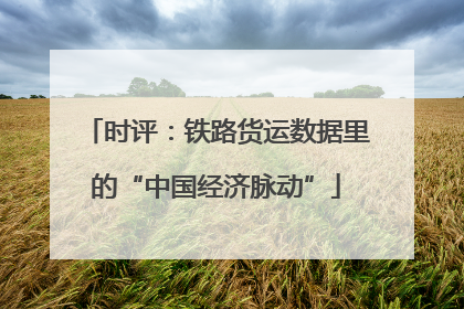 时评：铁路货运数据里的“中国经济脉动”