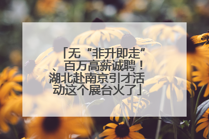 无“非升即走”、百万高薪诚聘！湖北赴南京引才活动这个展台火了