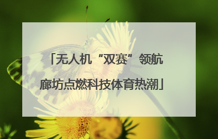 无人机“双赛”领航 廊坊点燃科技体育热潮