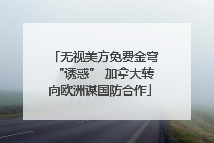 无视美方免费金穹“诱惑” 加拿大转向欧洲谋国防合作