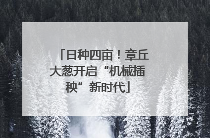 日种四亩！章丘大葱开启“机械插秧”新时代