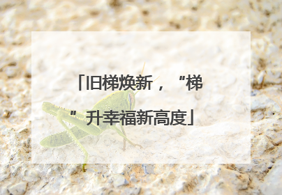 旧梯焕新，“梯”升幸福新高度