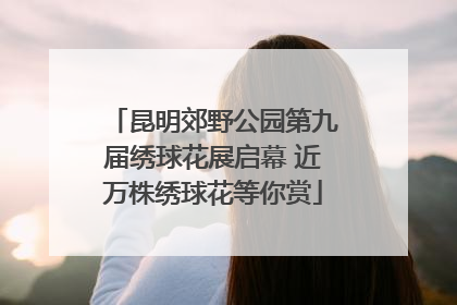 昆明郊野公园第九届绣球花展启幕 近万株绣球花等你赏