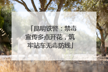 昆明铁警：禁毒宣传多点开花，筑牢站车无毒防线