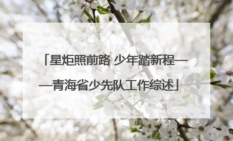 星炬照前路 少年踏新程——青海省少先队工作综述