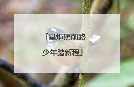 星炬照前路 少年踏新程