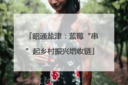 昭通盐津：蓝莓“串”起乡村振兴增收链