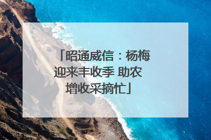昭通威信：杨梅迎来丰收季 助农增收采摘忙