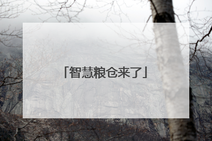 智慧粮仓来了