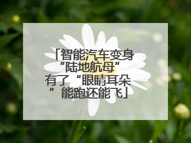 智能汽车变身“陆地航母” 有了“眼睛耳朵”能跑还能飞