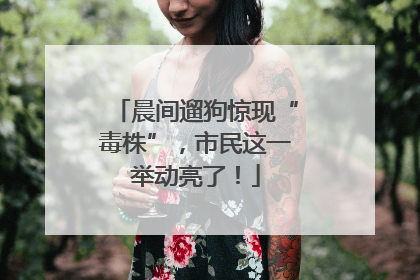 晨间遛狗惊现“毒株”，市民这一举动亮了！