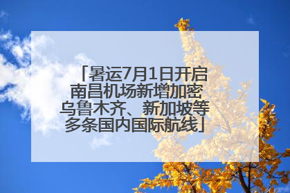 暑运7月1日开启 南昌机场新增加密乌鲁木齐、新加坡等多条国内国际航线