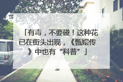 有毒，不要碰！这种花已在街头出现，《甄嬛传》中也有“科普”