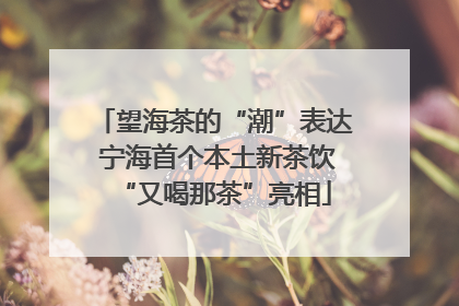 望海茶的“潮”表达 宁海首个本土新茶饮“又喝那茶”亮相