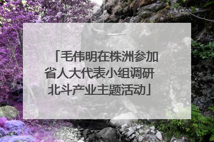 毛伟明在株洲参加省人大代表小组调研北斗产业主题活动