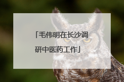毛伟明在长沙调研中医药工作