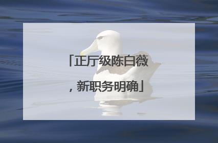正厅级陈白薇，新职务明确