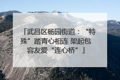 武昌区杨园街道：“特殊”踏青心相连 架起包容友爱“连心桥”