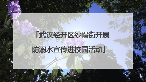 武汉经开区纱帽街开展防溺水宣传进校园活动
