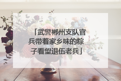 武警郴州支队官兵带着家乡味的粽子看望退伍老兵
