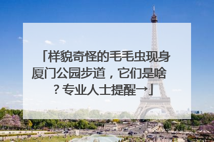 样貌奇怪的毛毛虫现身厦门公园步道，它们是啥？专业人士提醒→