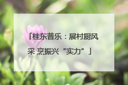 桂东普乐：展村厨风采 烹振兴“实力”