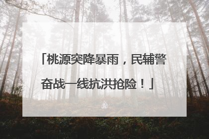 桃源突降暴雨，民辅警奋战一线抗洪抢险！