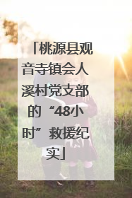 桃源县观音寺镇会人溪村党支部的“48小时”救援纪实